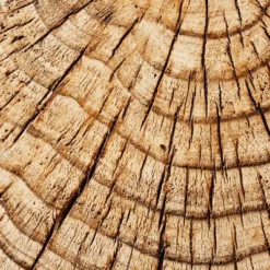 Indoor/Outdoor Faux Concrete Stump Accent Table Brown - Threshold™ Designed With Studio McGee -Cheap Furniture Store GUEST 03deabfd 2b62 4725 94b4 09a321ea8678